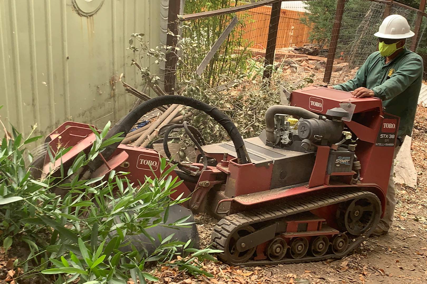 Bay Area Tree Care expert tree trimming