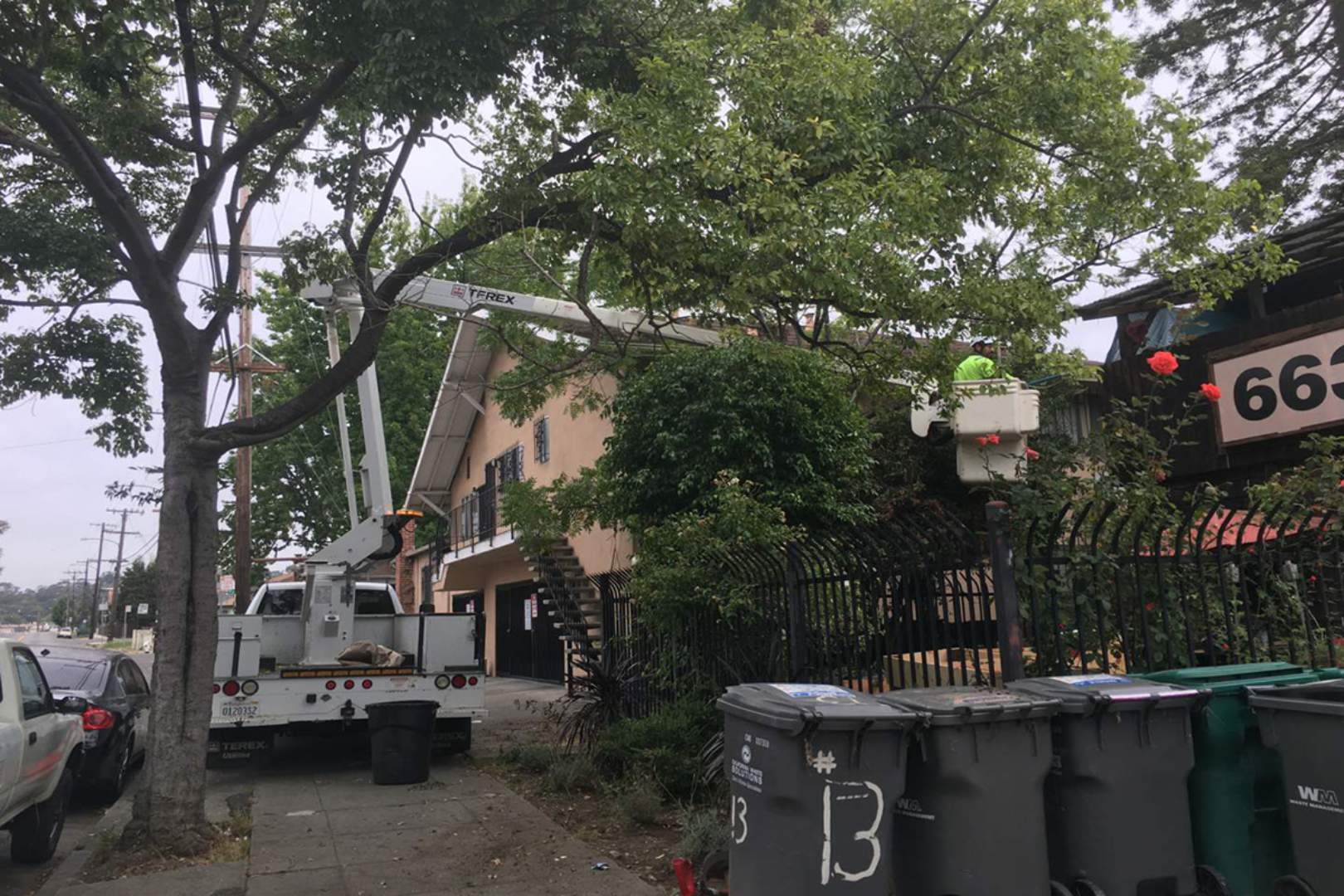 tree trimming around a restaurant outside eating area and entrance